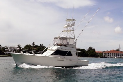 Rental Motorboat Hatteras 48 Nassau