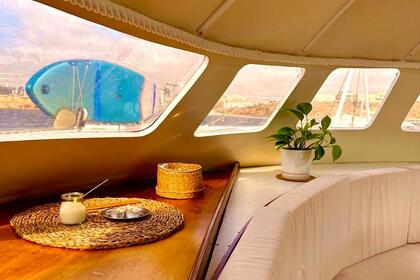 Katamaran Tagomago 50