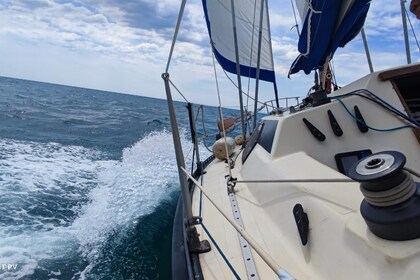 Location Voilier Barons Barons 31 Agde