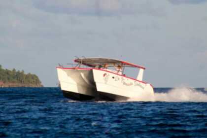 WHALES IN SAMANA FROM JANUARY TO APRIL, WHALES VISIT US. THEY COME EVERY YEAR TO MATE AND GIVE BIRTH. ENJOY THE SHOW IN COMFORT. HAITISES AND CAYO LEVANTADO AND THE WHALES