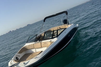 Noleggio Barca a motore Sea Ray 210 Port-Saint-Louis-du-Rhône