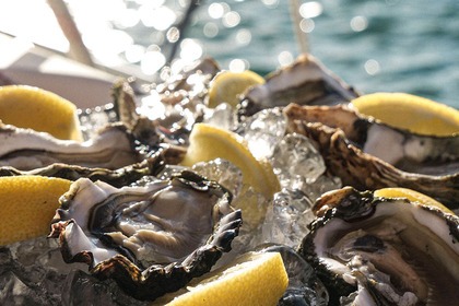 Private Sailing Yacht Tour in Tavira & Ria Formosa