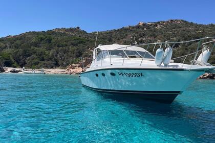 Hire Motorboat Bertram Bertram 33 La Maddalena