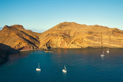 Bavaria 50 Cruiser -  15,40m  Melodia