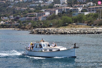 Blue Dream Snorkel, Kayak y Paddle Surf