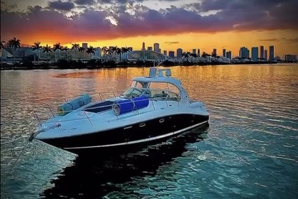 Rental Motorboat Sea Ray Sundancer 45 Miami Beach