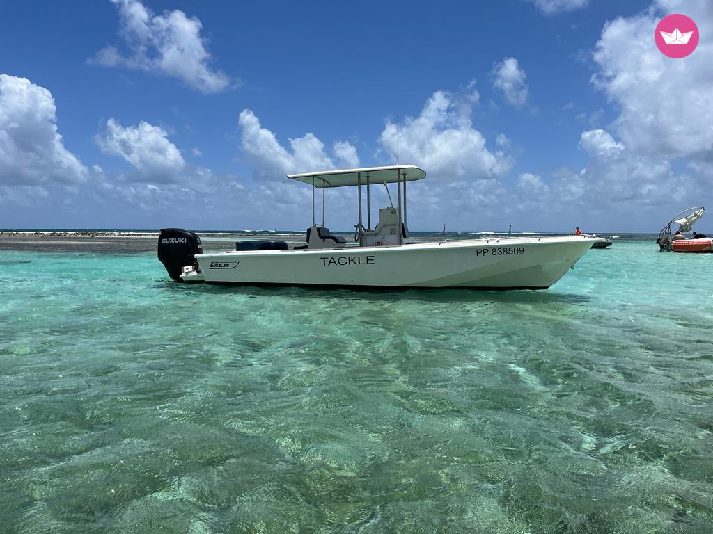 Bateau à moteur Boston Whaler Modelo Outrage 25 300cv 5