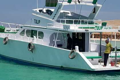 Miete Motorboot Fishing Shipyard Customized Hurghada