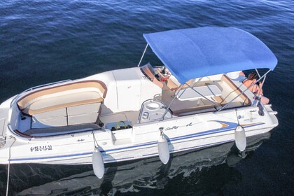 Charter Motorboat Sea Ray 240 Sundeck Marbella