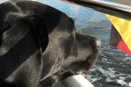 Ενοικιάστε αυτό το μηχανοκ