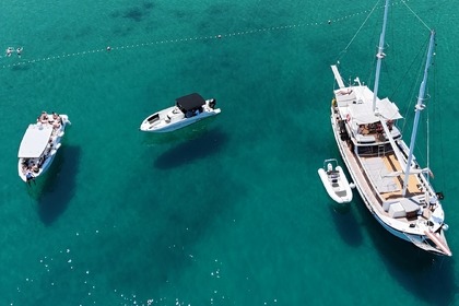 Private Boat Tour - Sailboat "[**#**]"