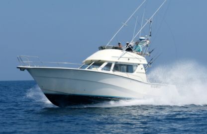 Location Bateau à moteur Rodman 1250 Beaulieu-sur-Mer