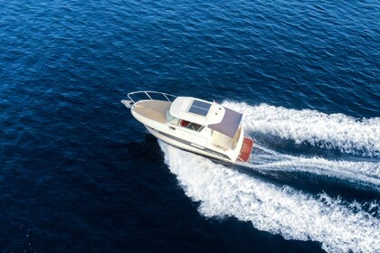 Ocqueteau Range Cruiser