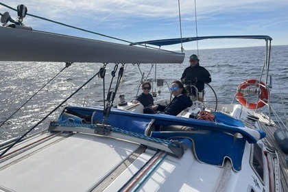 Sailboat Trips and Tours