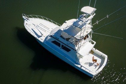 Charter Motorboat Hatteras 540 Flybridge Mazatlán