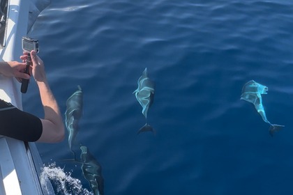 Beneteau Oceanis 60 Yacht