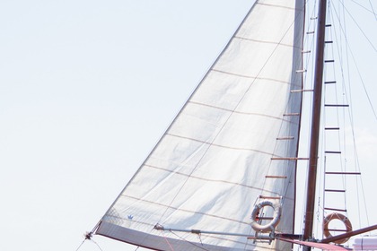 Alma Libre Daily Cruises