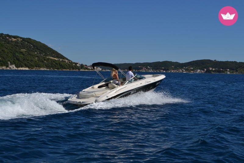 Motorboat Monterey 208 for hire