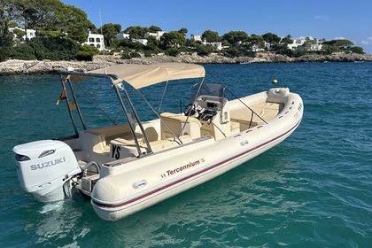 Hire Motorboat Tarpon 790 Luxe Cala d'Or
