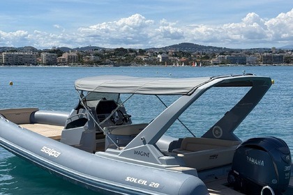 Salpa Soleil 28