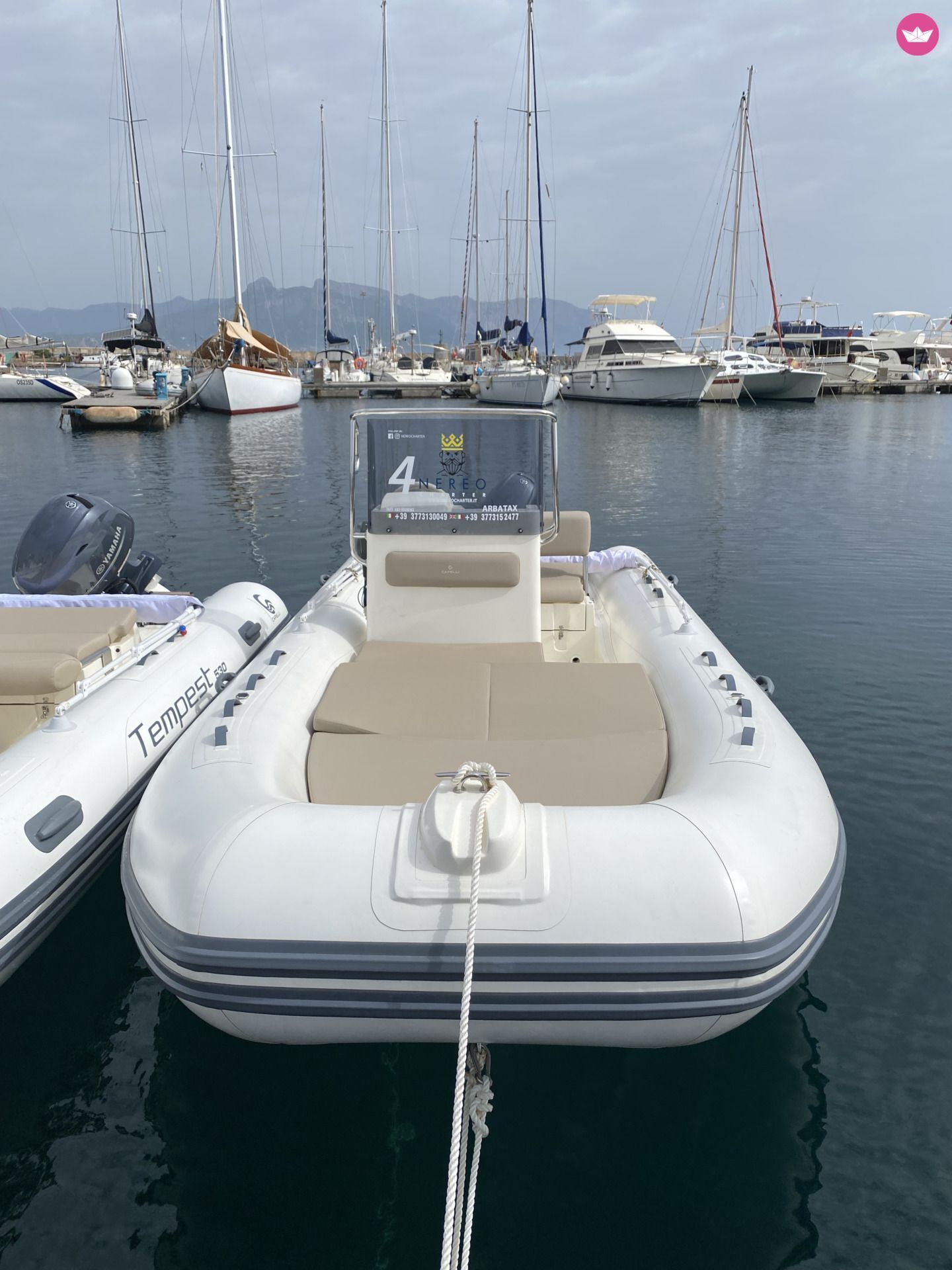 Bateau sans permis Capelli Capelli Tempest 530 40cv