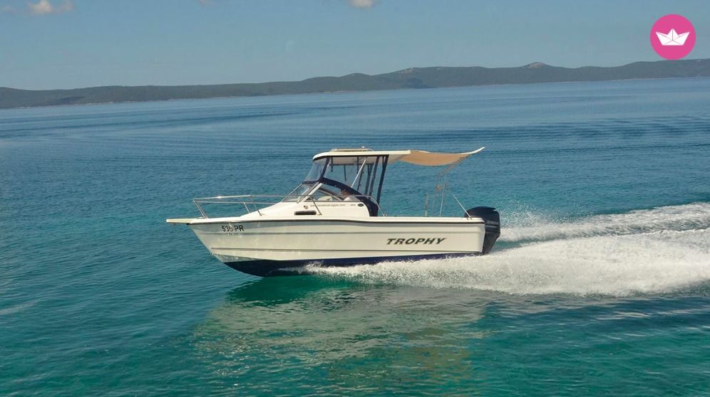 Motorboat Bayliner Trophy 1802  