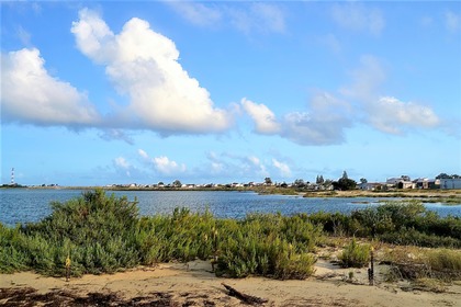 SunChaser Pontoon in Ria Formosa