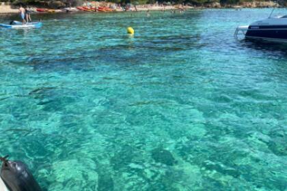 Sortie avec Skipper Pro