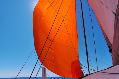 Catamaran cruise departing from Toulon | ORC42