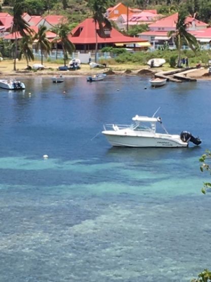 Location Bateau à moteur Bayliner Trophy  Pro 25 Baie Mahault