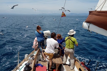 Charter Sailboat Cheoy Lee 41 CL El Masnou