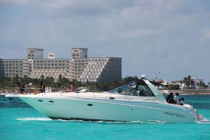 Rental Motorboat Sea Ray 460 Cancún