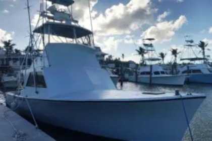 Hire Motorboat T-West Fishing Boat Key Largo