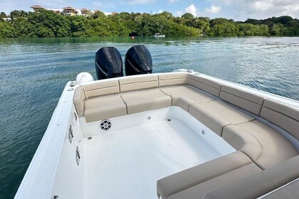 Sea Sr - Todomar 32'