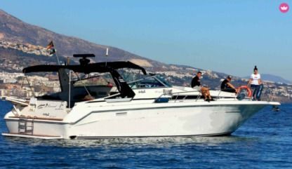 Location Bateau à moteur Sea Ray 440 Sea Ray, Dolphin Watching Fuengirola