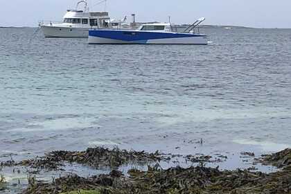 Pogo Structures Loxo 32