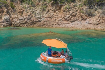 Charter Boat without licence  Artthink GmbH BBQ-Donut MAXI Propriano