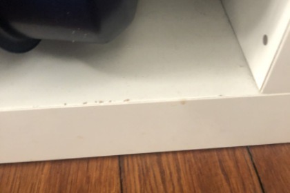 Rental Catamaran Selva D 360 C Murree