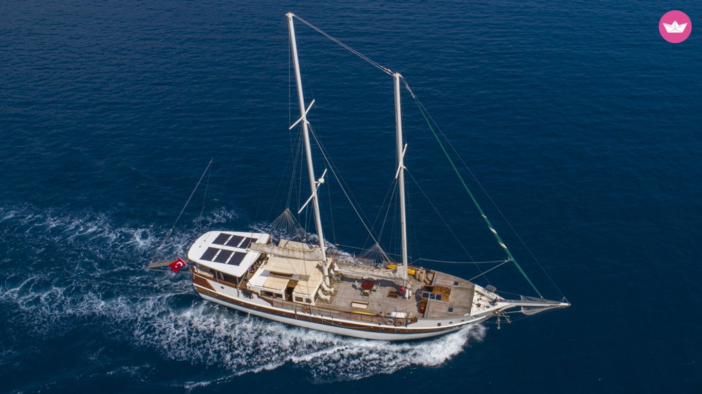 Goélette Wide Outside Areas 2011 ( amzsl ) 28m 7