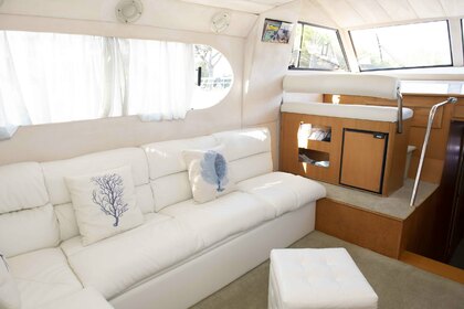 DellaPasqua fly DC13