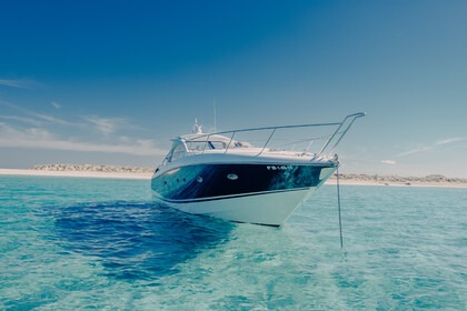 Sunseeker Portofino 53 - 2024 Refit