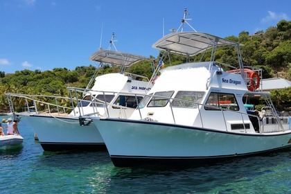 Charter Motorboat Custom Newton 36 British Virgin Islands