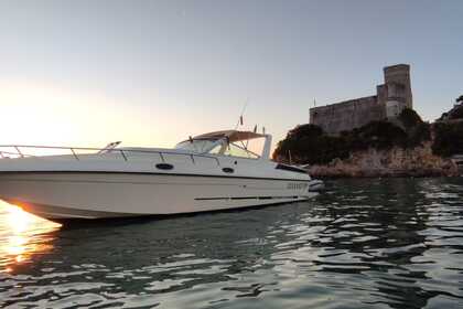 Verhuur Motorboot Tour del Golfo dei Poeti Airon marine 36 La Spezia