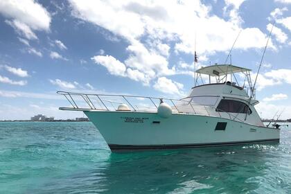 Hire Motorboat Post 46 Cancún