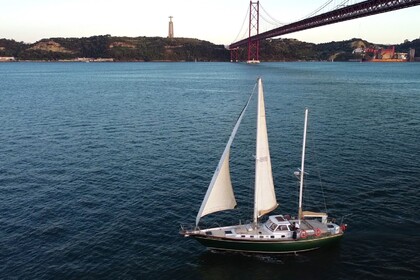 Jusqu'à 18 personnes - Mikado 56