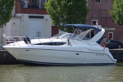 Verhuur Motorjacht Bayliner 3055si ciera sunbidge Aalsmeer