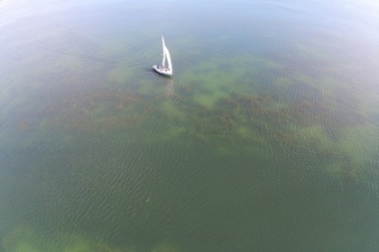 Bateau de regate, idéal aussi en famille