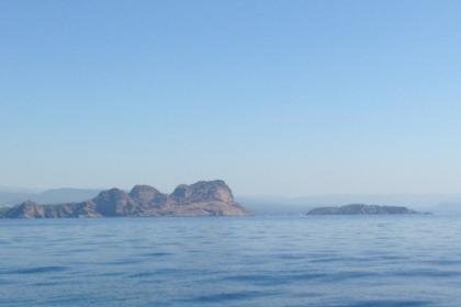 Vedette  luxueuse Fly bridge 12 m bi moteur