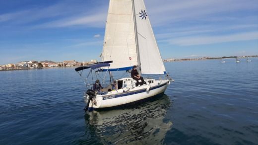 daimio 23 sailboat