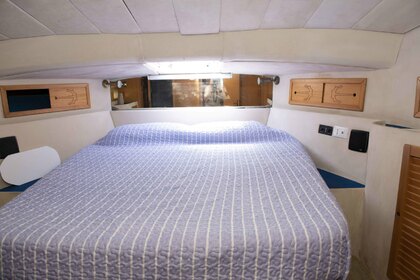 DellaPasqua fly DC13